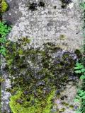 image of grave number 718773